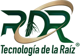 RDR