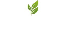 PFenergy