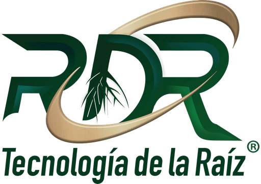 RDR — Tecnología de la Raíz