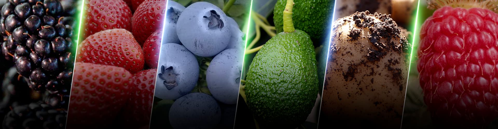 Agricultura Regenerativa Innovak